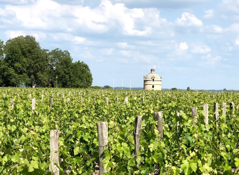 chateau latour 768x562