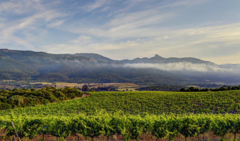 clos canarelli 768x453