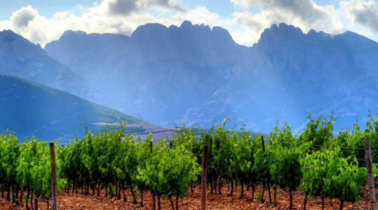 domaine dalzipratu 768x428
