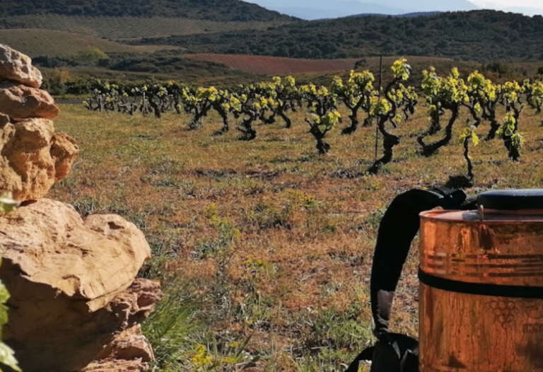 domaine de l horizon 768x526