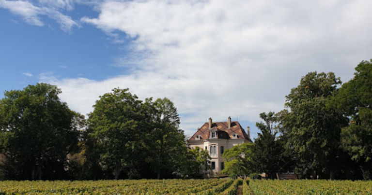 domaine des comtes lafon 768x404