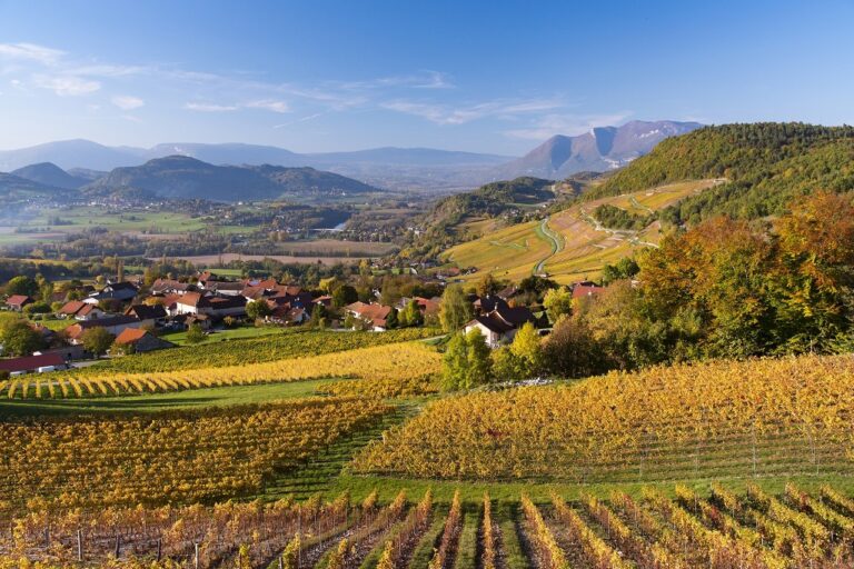 domaine dupasquier 768x512