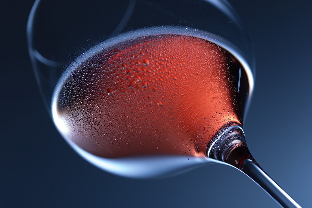 découvrez le tourisme viticole : une expérience unique qui vous plonge dans l'univers des vignobles, des dégustations de vins raffinés et des visites de caves historiques. explorez les régions viticoles, apprenez des experts et savourez des moments inoubliables au cœur des traditions viticoles.