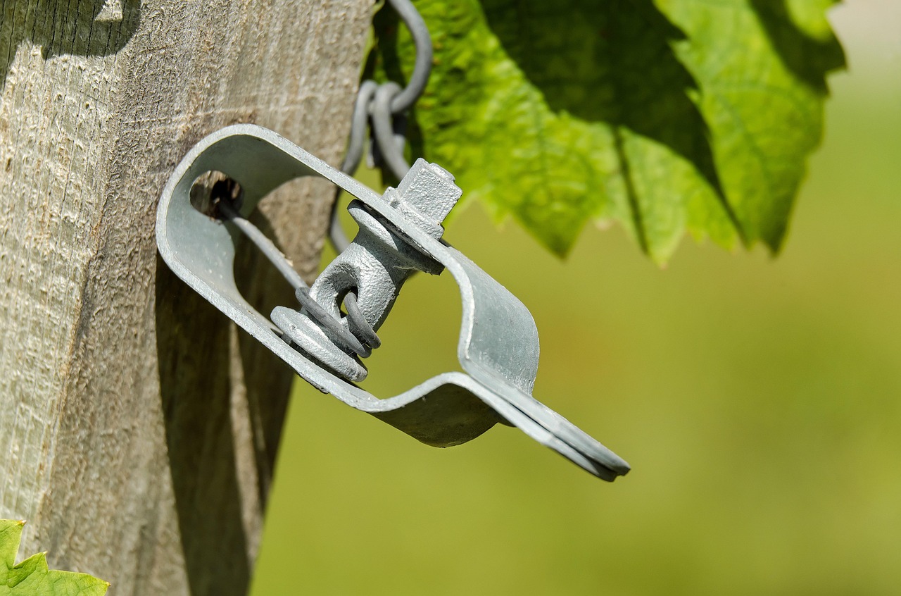 La Californie : un modèle de viticulture durable et d'œnotourisme écoresponsable 3 découvrez l'univers de la viticulture durable : des pratiques respectueuses de l'environnement, des méthodes de culture innovantes et un engagement pour des vins de qualité qui préservent la biodiversité. explorez comment la durabilité transforme le paysage viticole et favorise une consommation responsible.