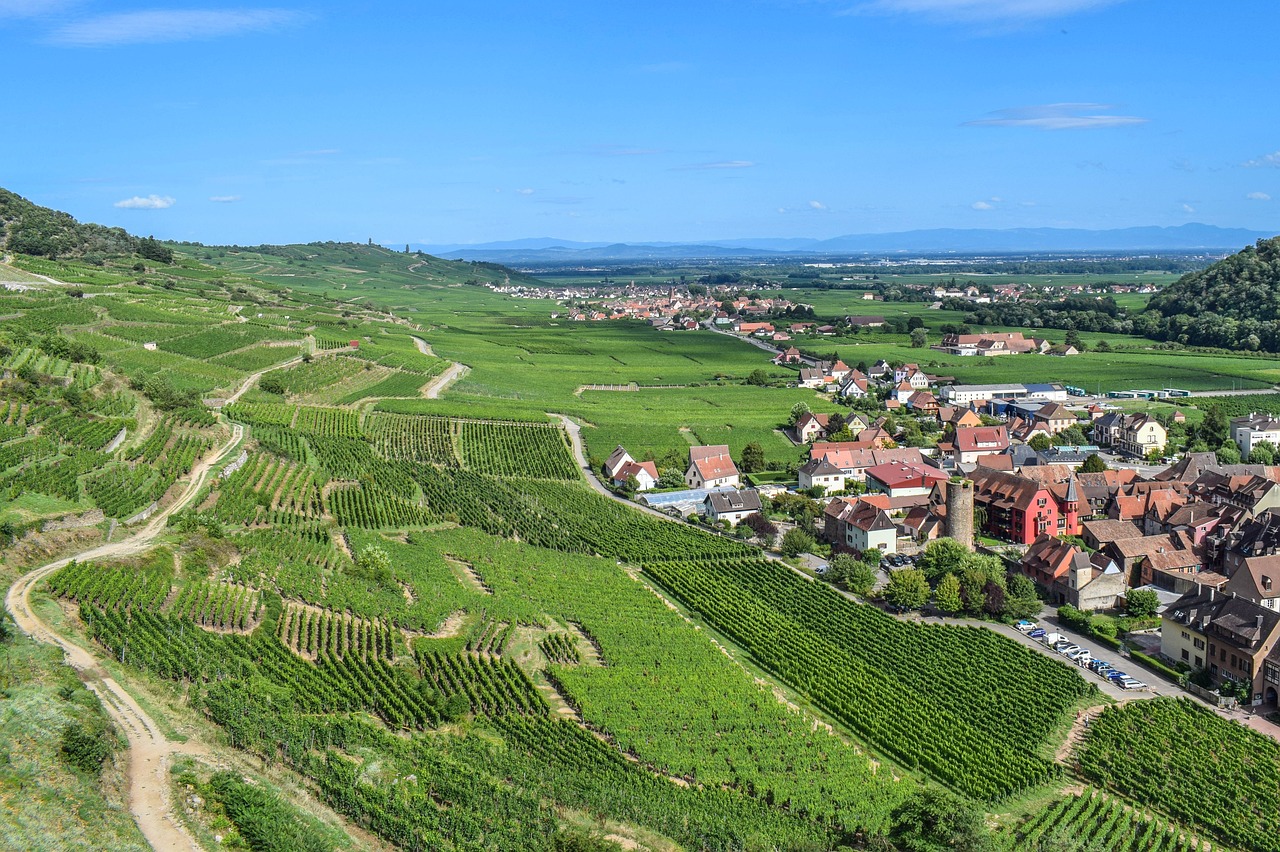 L'alsace retrouve la tournée des terroirs en juin ! 1 découvrez l'alsace, une région envoûtante de france où tradition et modernité se rencontrent. explorez ses charmants villages, dégustez des vins renommés et savourez une cuisine riche en saveurs. partez à l'aventure au cœur des paysages pittoresques et laissez-vous séduire par la culture alsacienne.