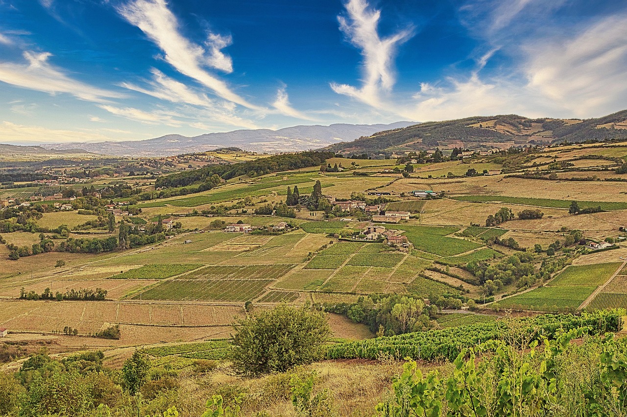 Découvrez la Beaujonomie : le mois de juin célèbre le Beaujolais 1 découvrez le beaujolais, un vin rouge emblématique de la région viticole française, réputé pour sa légèreté et ses arômes de fruits frais. parfait pour accompagner vos repas, ce vin convivial offre une expérience gustative unique qui séduira les amateurs comme les néophytes.