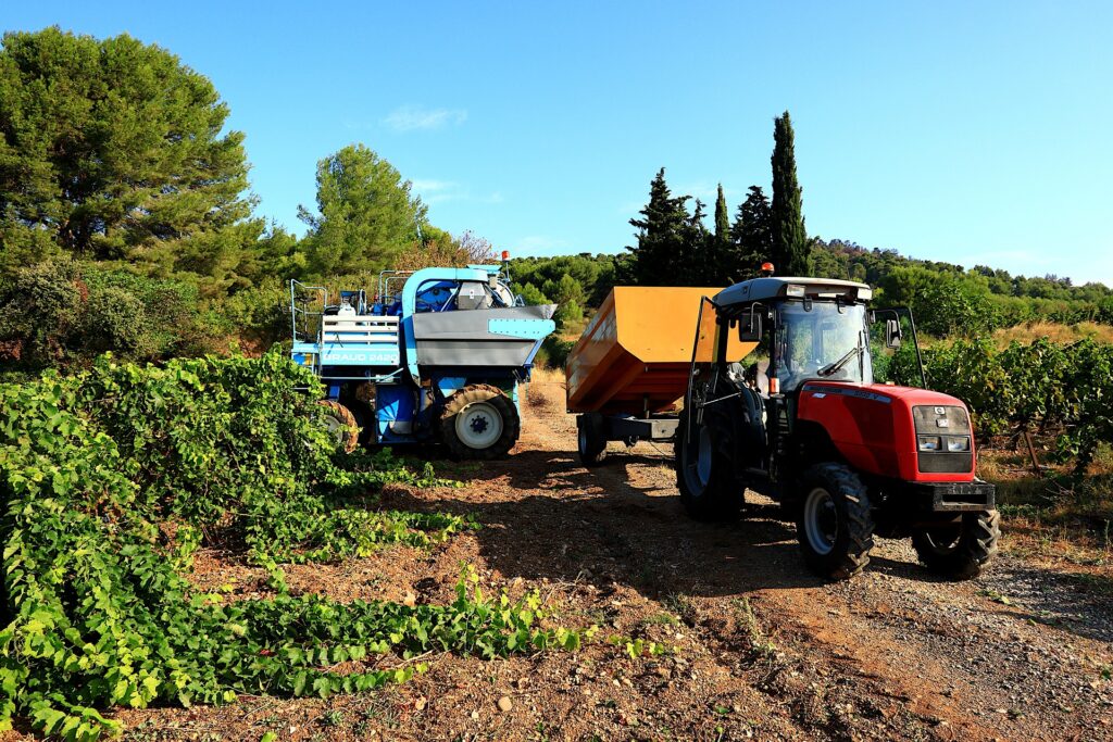 Machine vendanges