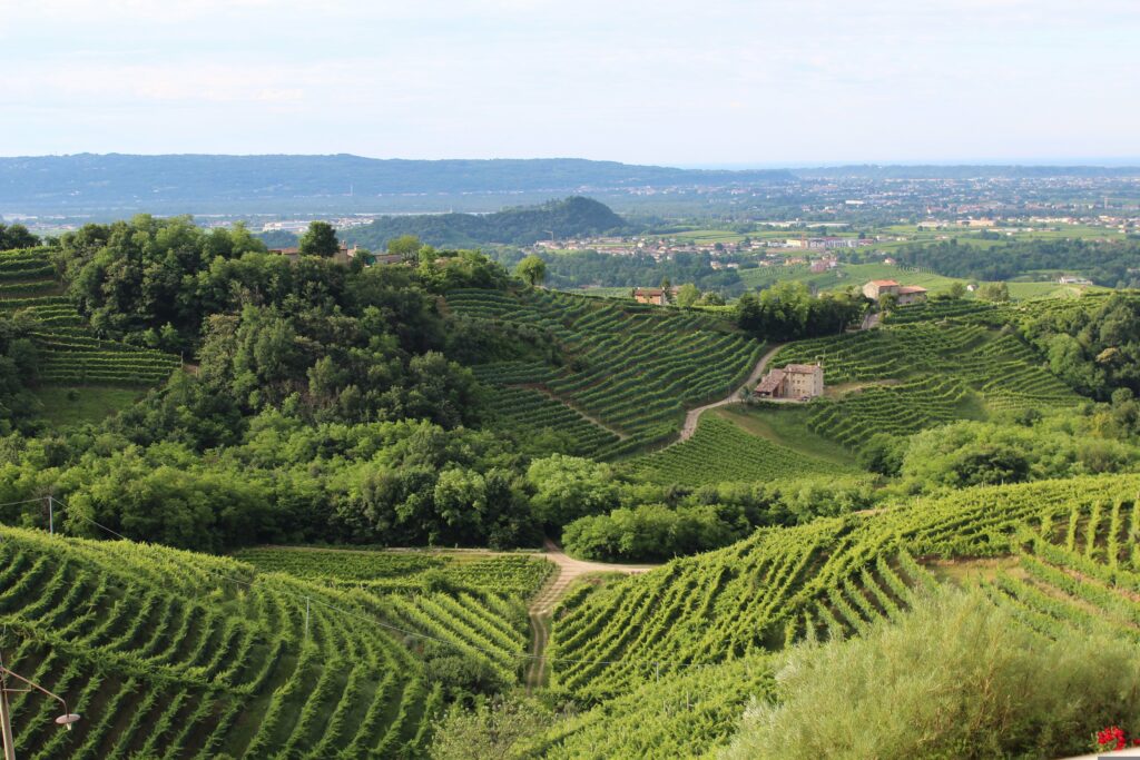 Les vins de terroirs rares : quand le lieu devient signature 1 italy 1331284