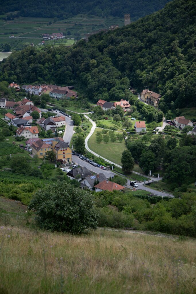 "Vignobles en scène" : un nouveau souffle pour l'œnotourisme français dès octobre 2025 1 pexels yevhen bartko 2154215178 33118633